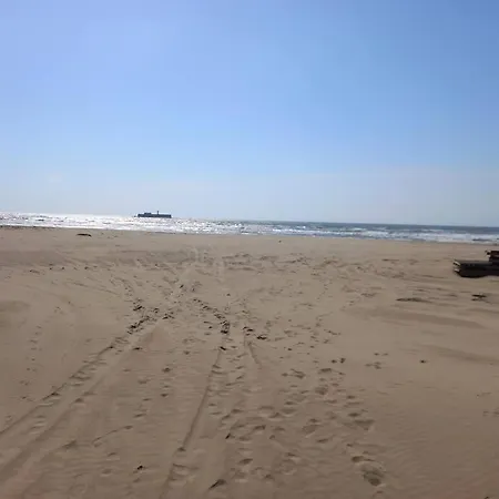 Appartement Les Terrasses De La 255, T3 Bien équipé, Wifi, Parking