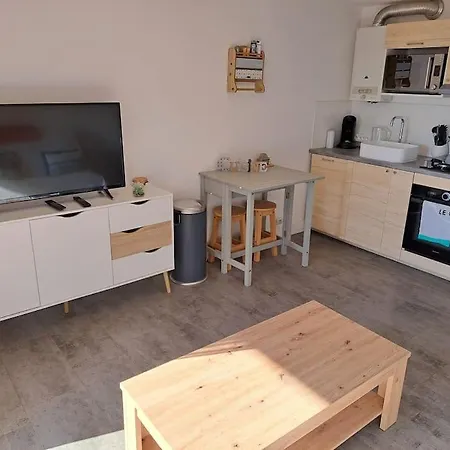 Les Terrasses De La 255, T3 Bien Equipe, Wifi, Parking * 阿格德