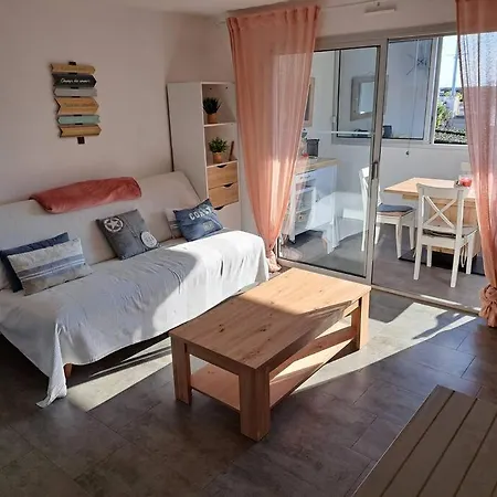 Les Terrasses De La 255, T3 Bien Equipe, Wifi, Parking * 阿格德