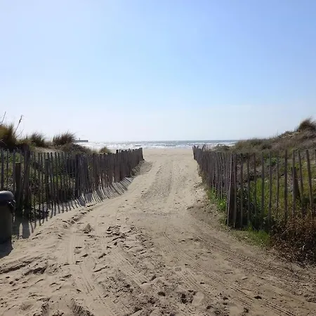 Les Terrasses De La 255, T3 Bien Equipe, Wifi, Parking 公寓 阿格德