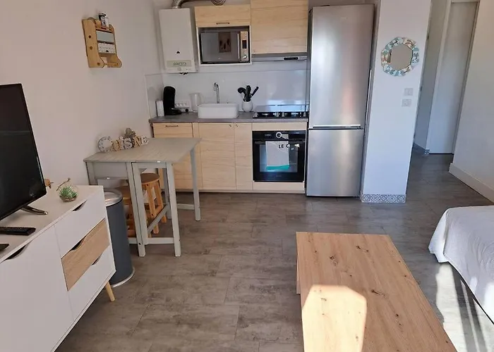 Appartamento Les Terrasses De La 255, T3 Bien équipé, Wifi, Parking *