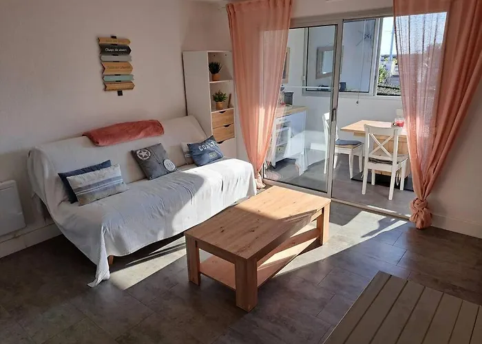 Les Terrasses De La 255, T3 Bien Equipe, Wifi, Parking * アグド