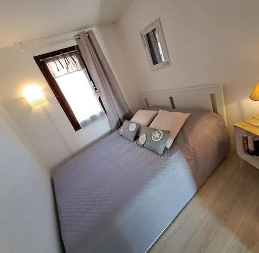 Les Terrasses De La 255, T3 Bien Equipe, Wifi, Parking アパート *